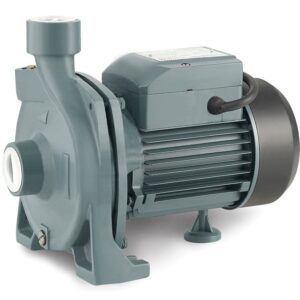Rainpump Cpm158 Santrifuj Pompa 0.75Kw
