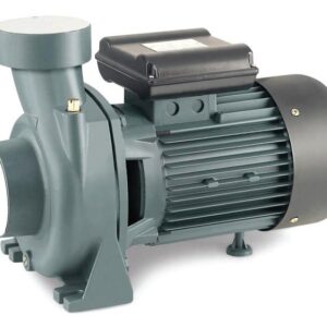 Rainpump Shfm6B Santrifuj Pompa 1.5 Kw