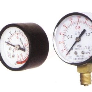 Rainpump Tps-S Manometre 50 Mm 1/4”