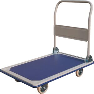 Biglift Paket Taşıma 250 Kg - BIGTSL11