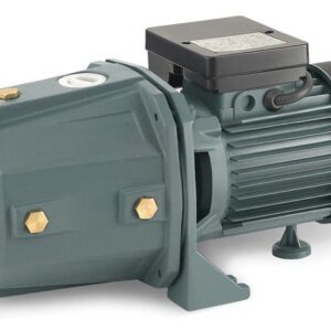 Rainpump Sgjw37 Santrifuj Jet Pompa